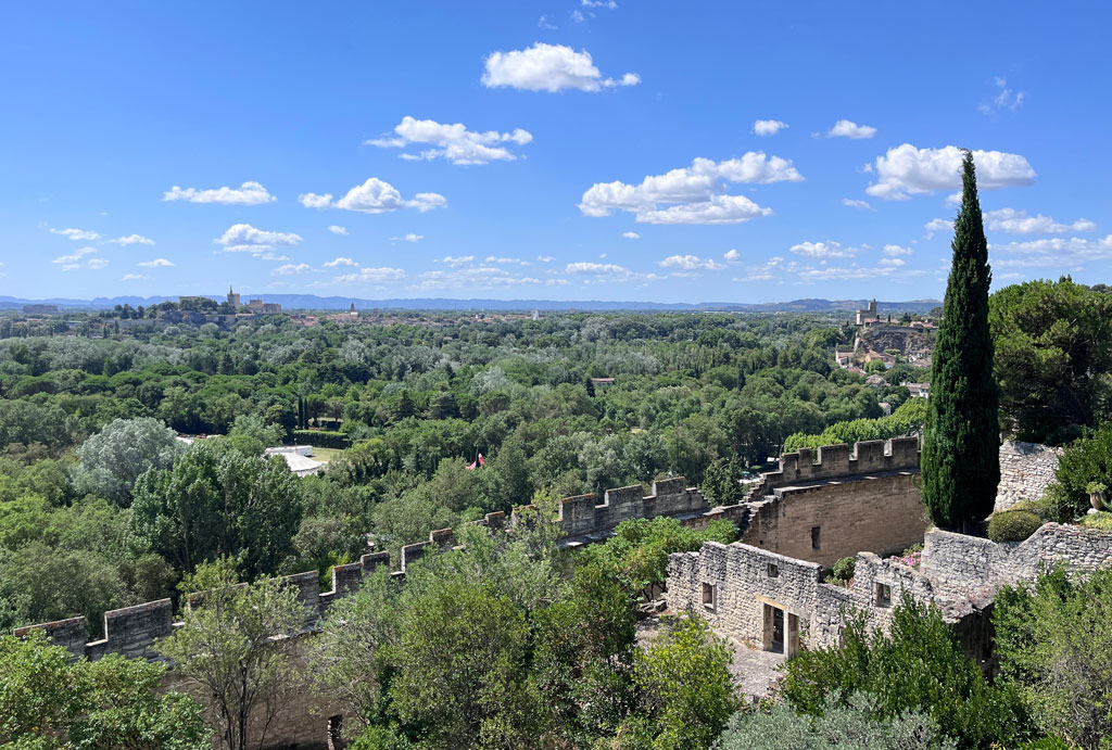 Blick auf Avignon
