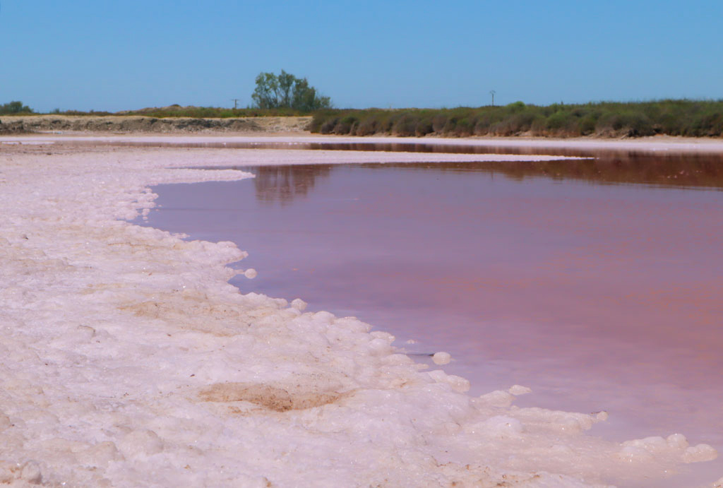 Saline-de-Giraud