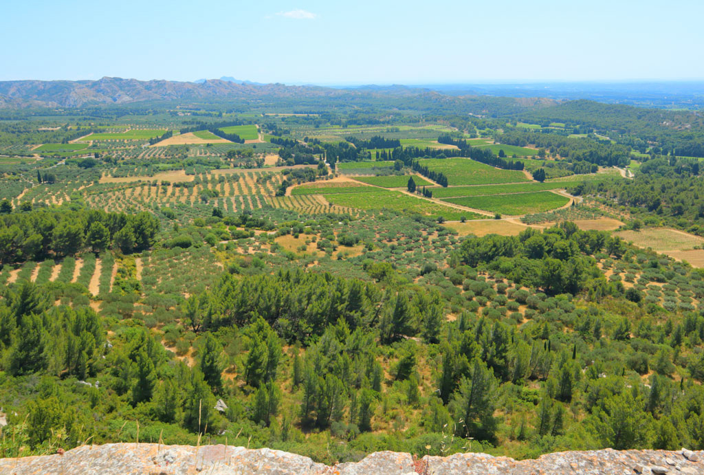 Blick auf Olivenhaine und Rebflächen